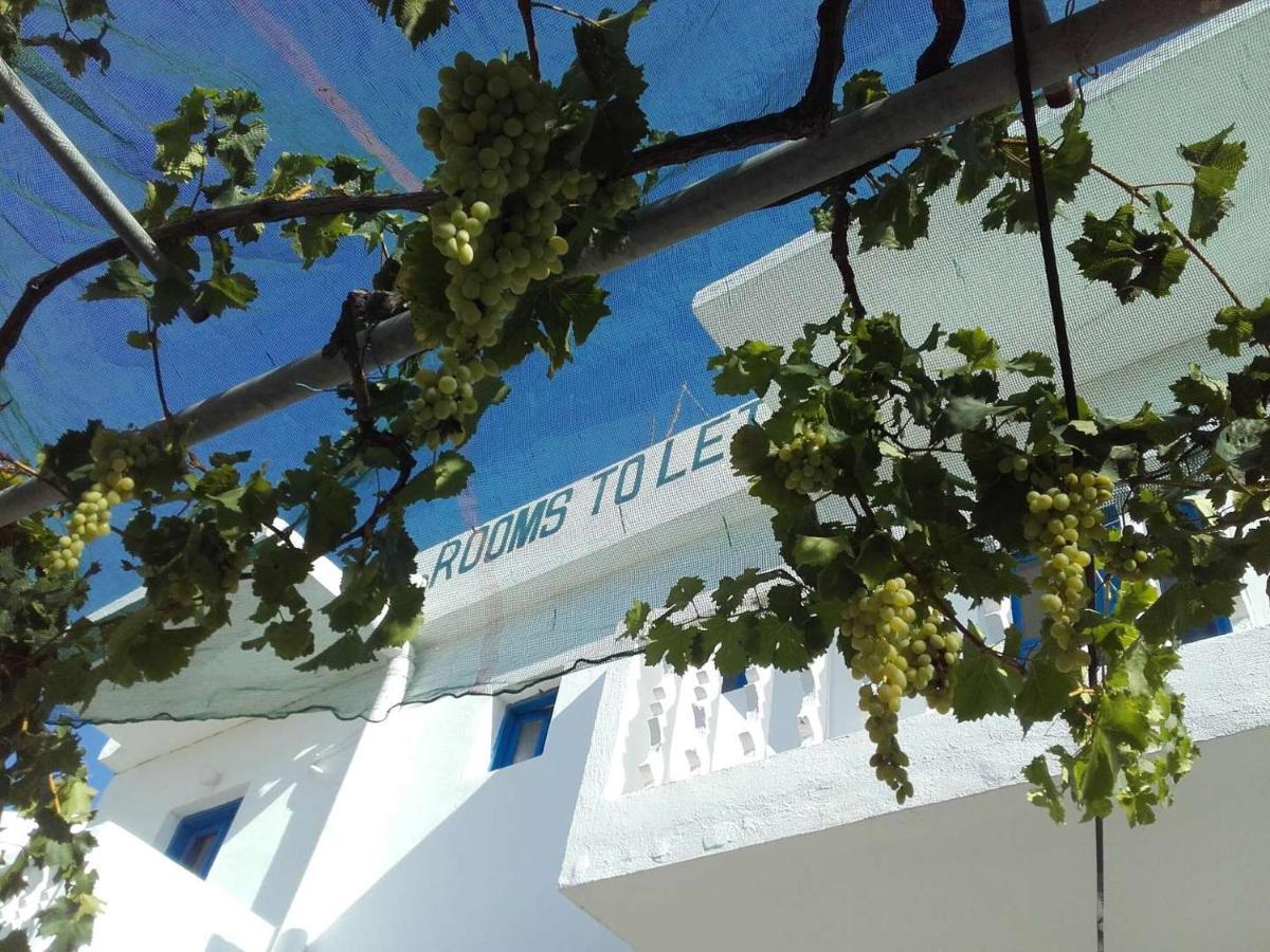 Nikos Apartments Lefkos (Karpathos) Exterior foto