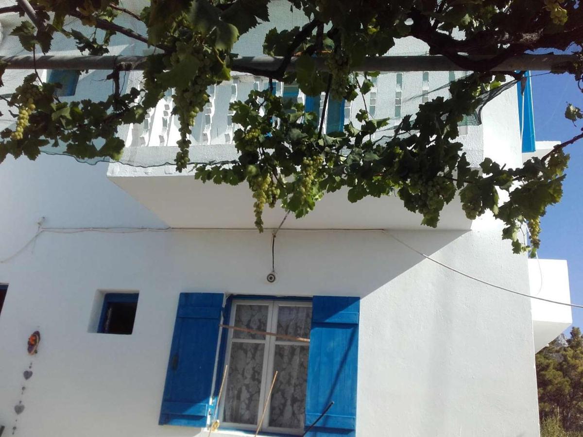 Nikos Apartments Lefkos (Karpathos) Exterior foto